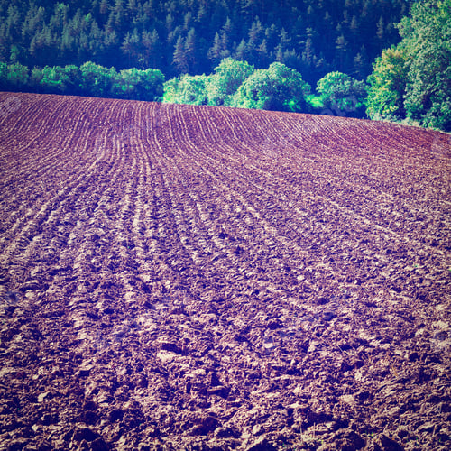 Preview: Plowed Sloping Hills In France After Harvesting, Instagram Effect