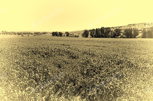 Preview: Jezreel Valley At The Foot Of The Mount Tabor In Israel, Stylized Photo