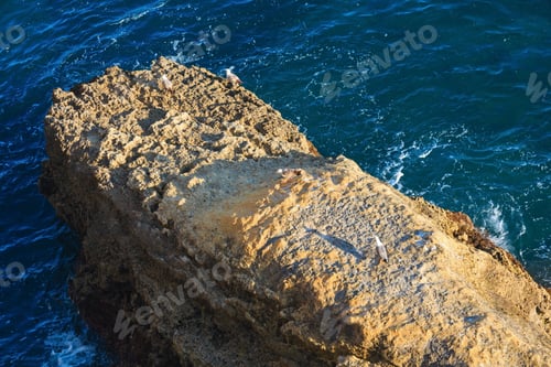 Preview: Atlantic Rocky Coast Top View With Seagulls On Cliff (Algarve, Portugal).