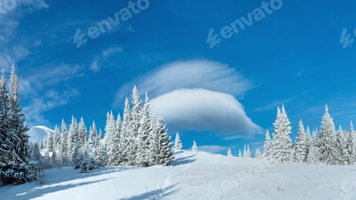 Preview: Morning Winter Mountain Landscape With Fir Forest.