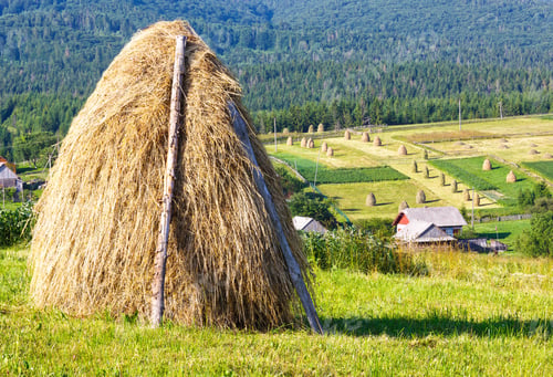 Preview: Summer Mountain Village Outskirts With Haystacks On Field (Carpathian, Ukraine)