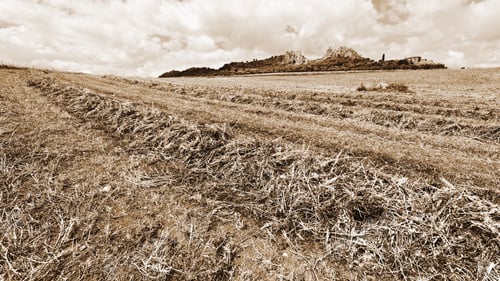 Preview: Mown Wheat Field On The Hill In Sicily, Vintage Style Sepia