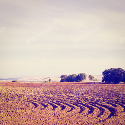 Preview: Plowed Sloping Hills Of Spain In The Autumn, Instagram Effect