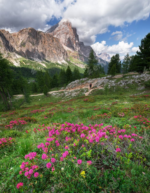 Preview: Male Hiker Exploring The Dolomites Landscape