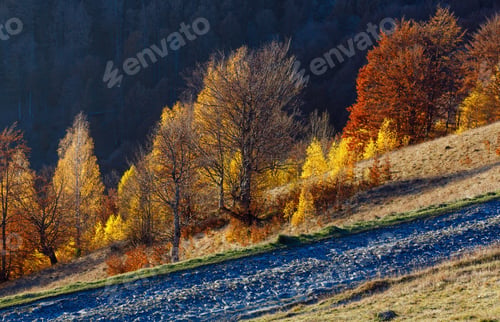 Preview: Rural Road In Autumn Misty Mountain And Colorful Trees On Slope.
