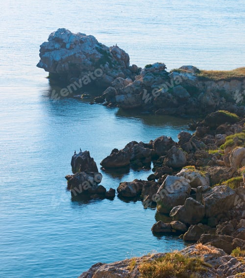 Preview: Cormorant Population On Kazantip Cape (Crimea, Ukraine). Three Shots Composite Picture.