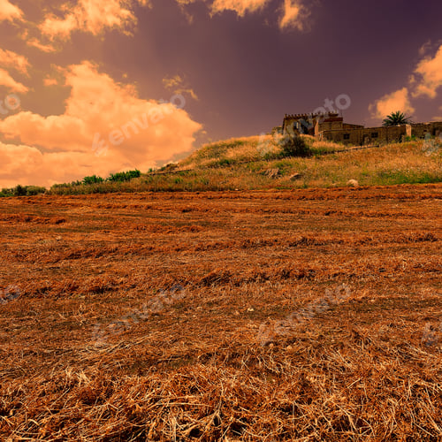 Preview: Mown Field On The Hill In Sicily At Sunset