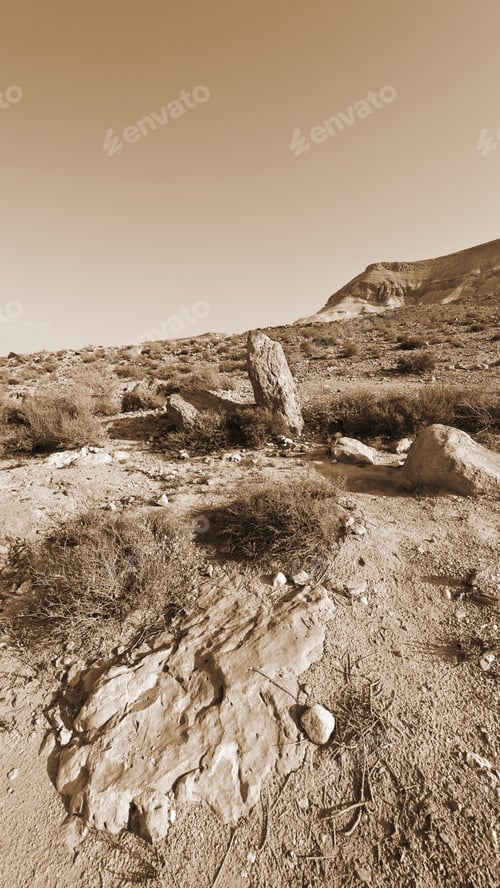 Preview: Rocky Hills Of The Negev Desert In Israel, Vintage Style Sepia