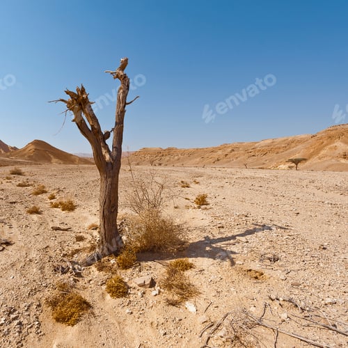 Preview: Melancholy And Emptiness Of The Rocky Hills Of The Negev Desert In Israel. Breathtaking Landscape