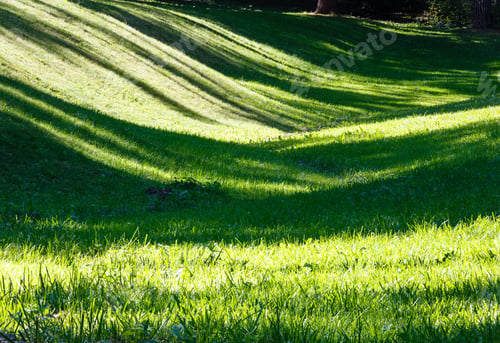 Preview: Perfect Green Grass Lawn On Landscape Designed Summer Park Hollow. Striped Shadows On Curved Meadow