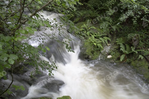 Preview: Valles Pasiegos Cantabria Landscape Wiht Stream Selaya Spain