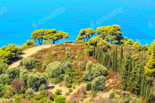 Preview: Morning Summer Aegean Sea Coast With Pine Tree On Shore (Sithonia, Halkidiki, Greece).