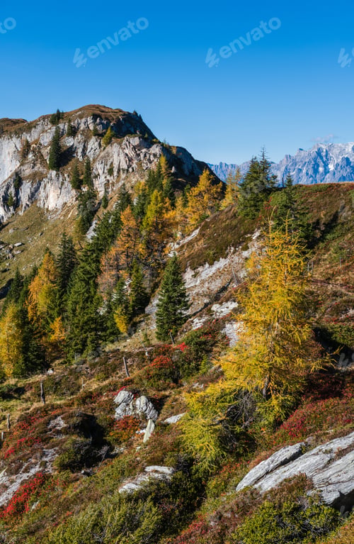 Preview: Sunny Idyllic Autumn Alpine Scene. Peaceful Alps Mountain View From Hiking Path From Dorfgastein To
