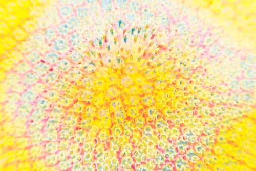 Preview: Abstract And Funky Background Done In Macro Mode