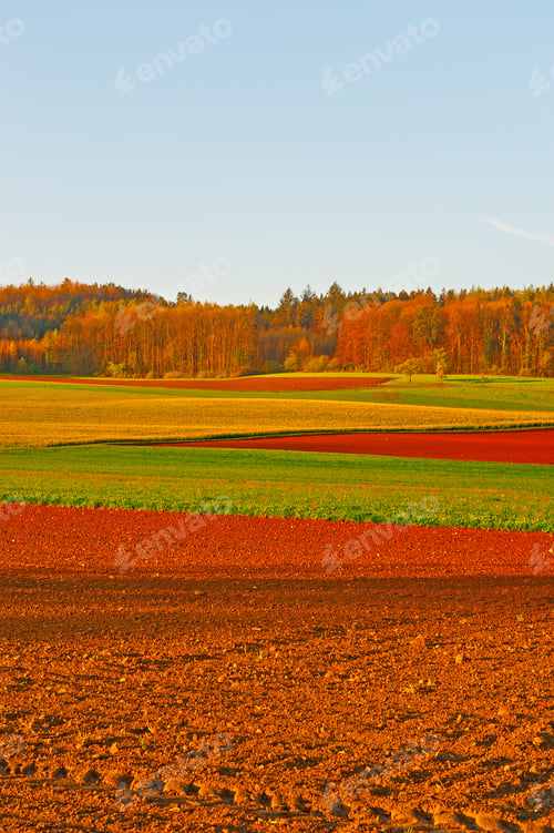 Preview: Plowed Fields On The Background Of The Spring Forest In Switzerland