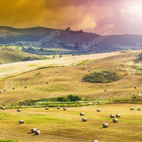 Preview: Wheat Fields On The Background Of Sicilian Hills At Sunrise. Landscape With Straw Bales After