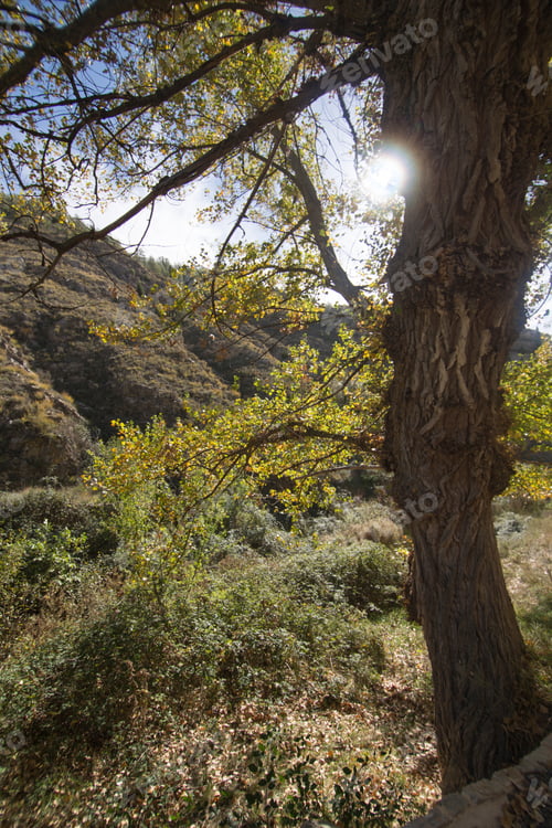 Preview: Autumn In Rubielos De Mora Village Teruel Aragon Spain