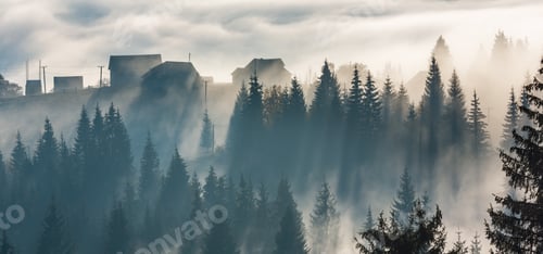 Preview: Morning Sunray Through Fog On Slopes Of The Carpathian Mountains (Yablunytsia Village
