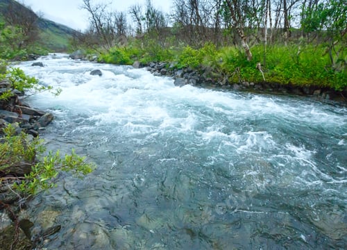 Preview: A River In Norway. Summer Landscape.