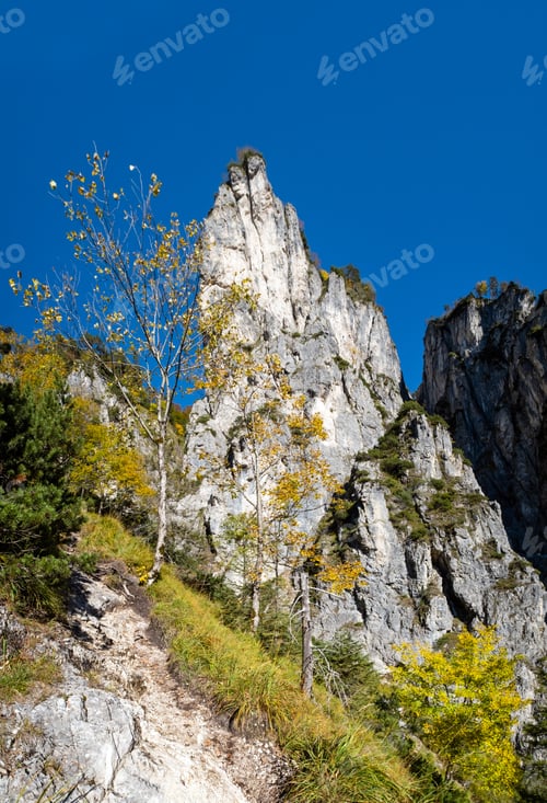 Preview: Sunny Idyllic Colorful Autumn Alpine Scene. Peaceful Rocky Mountain View From Hiking Path Near