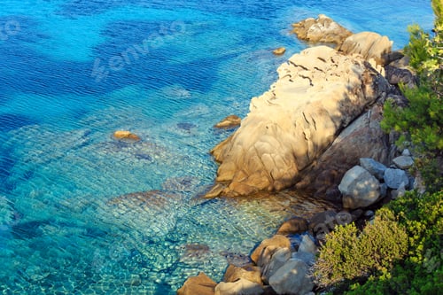 Preview: Morning Summer Aegean Sea Coast With Pine Tree (Nikiti, Sithonia, Halkidiki, Greece).