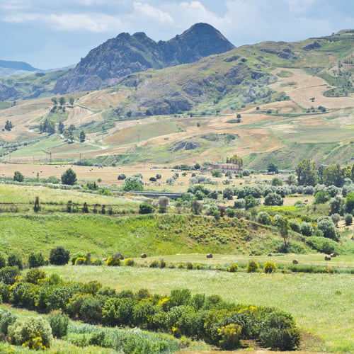 Preview: Harvested Wheat Fields On The Hills In Sicily