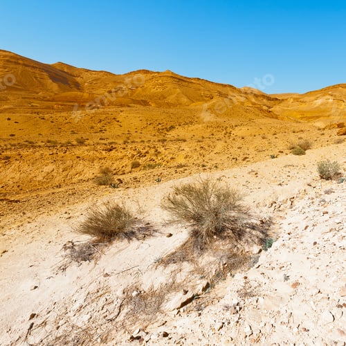 Vista previa: Rocky Hills Of The Negev Desert In Israel