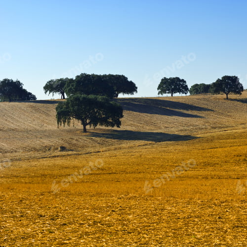 Preview: Sloping Hills Of Portugal In The Autumn