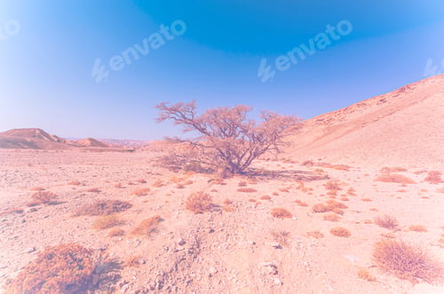 Preview: Breathtaking Landscape Of The Rock Formations In The Israel Desert In Faded Color Effect. Lifeless
