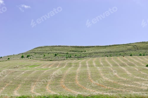 Preview: Mown Field On The Hill In Sicily, Italy