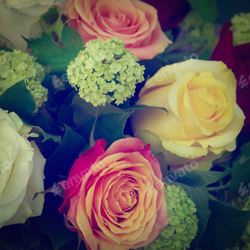 Preview: Multicolored Bouquet Of Roses As Background, Instagram Effect