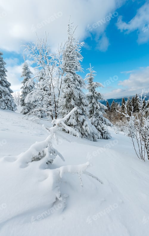 Preview: Winter Calm Mountain Landscape With Beautiful Frosting Trees And Snowdrifts On Slope (Carpathian