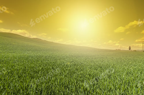 Preview: Italian Landscape With Meadows Early In The Spring At Sunrise. Agriculture In Italy, Fields And