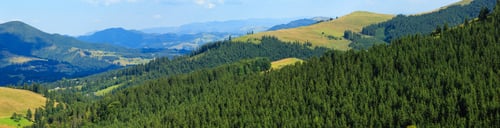 Preview: Summer Carpathian Mountain Country Landscape With Fir Forest On Slope (Ukraine, Verkhovyna