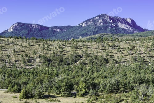 Preview: Alpine Landscape Of Alpes-De-Haute-Provence Department In Southeastern France. Neighborhoods Of A