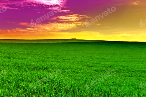 Preview: Alpine Pasture In Switzerland At Sunset