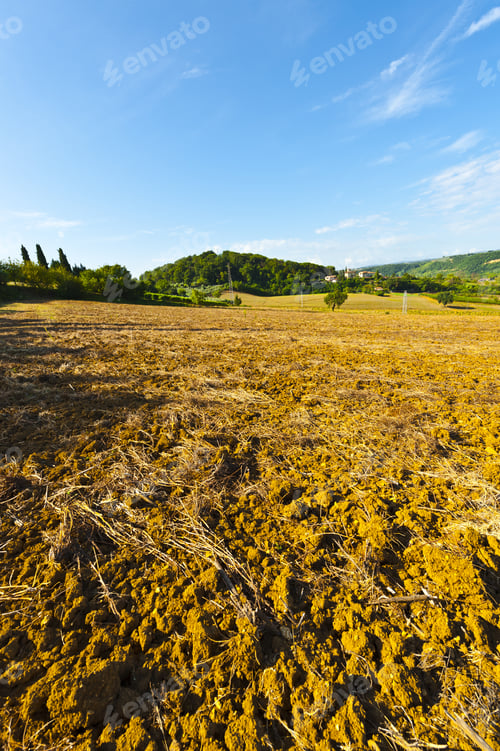 Preview: Plowed Hills Of Tuscany In The Autumn