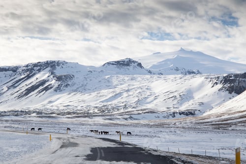 Preview: Snaefellsnes Peninsule West Of Iceland In Winter