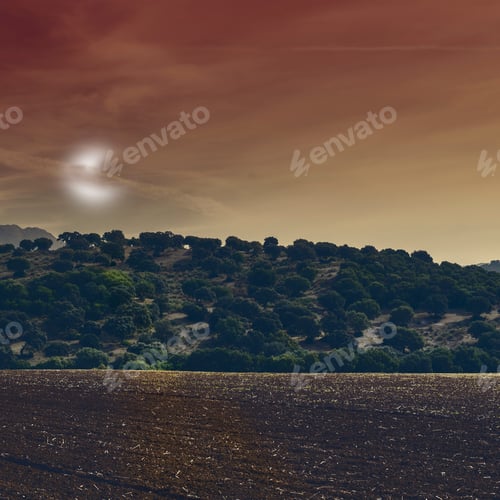 Preview: Fields In Spain After Harvesting In The Light Of The Moon. Breathtaking Landscape And Nature Of The