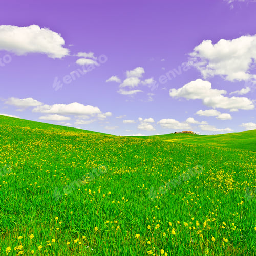 Preview: Green Sloping Meadows Of Tuscany