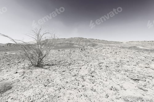 Preview: Rocky Hills Of The Negev Desert In Israel. Breathtaking Landscape And Nature Of The Middle East