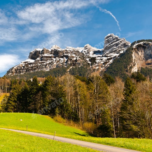 Preview: Pasture High Up In The Swiss Alps