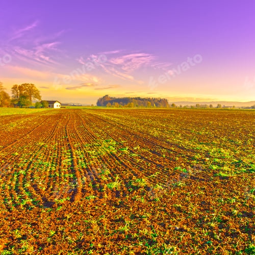 Preview: The Swiss Farmhouse Surrounded By Plowed Fields At Sunrise