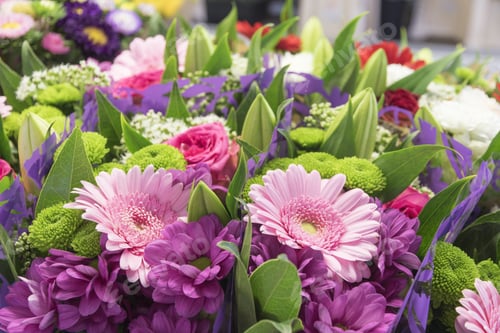 Preview: Beautiful Background From Perfect Fresh Flowers