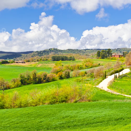 Preview: Green Sloping Meadows Of Tuscany