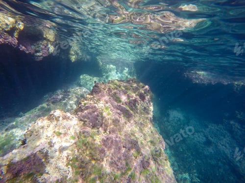 Preview: Under Water Image El Portet Moraira Alicante Province Spain