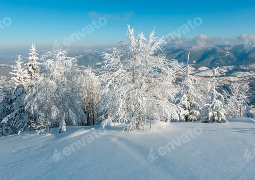 Preview: Morning Winter Calm Mountain Landscape With Beautiful Frosting Trees And Snowdrifts On Slope