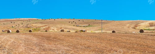 Preview: Beautiful Landscape Of Sicily Summer Countryside In Italy. Four Shots Stitch High-Resolution
