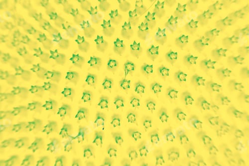 Preview: Abstract And Funky Background Done In Macro Mode