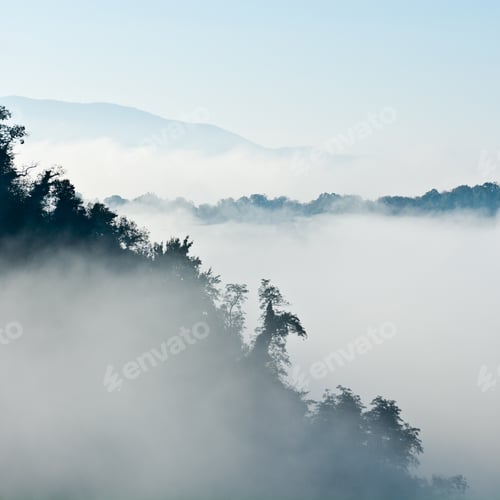 Preview: Foggy Morning In Italian Alps